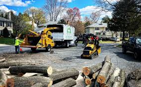 Reliable Homewood, IL Tree Removal and Landscaping Services Solutions